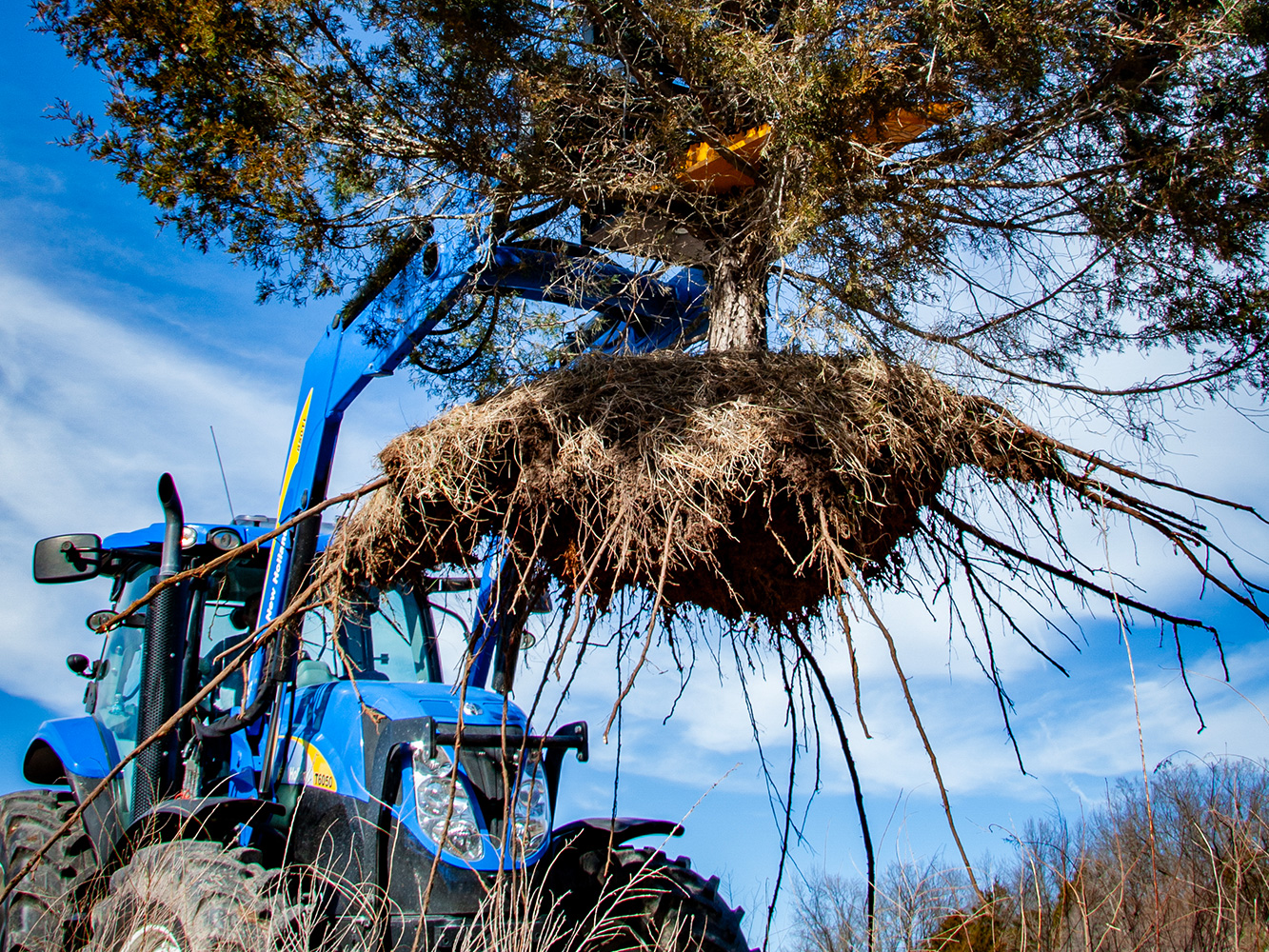 Danuser Intimidator Tree Puller Euro Global Mount